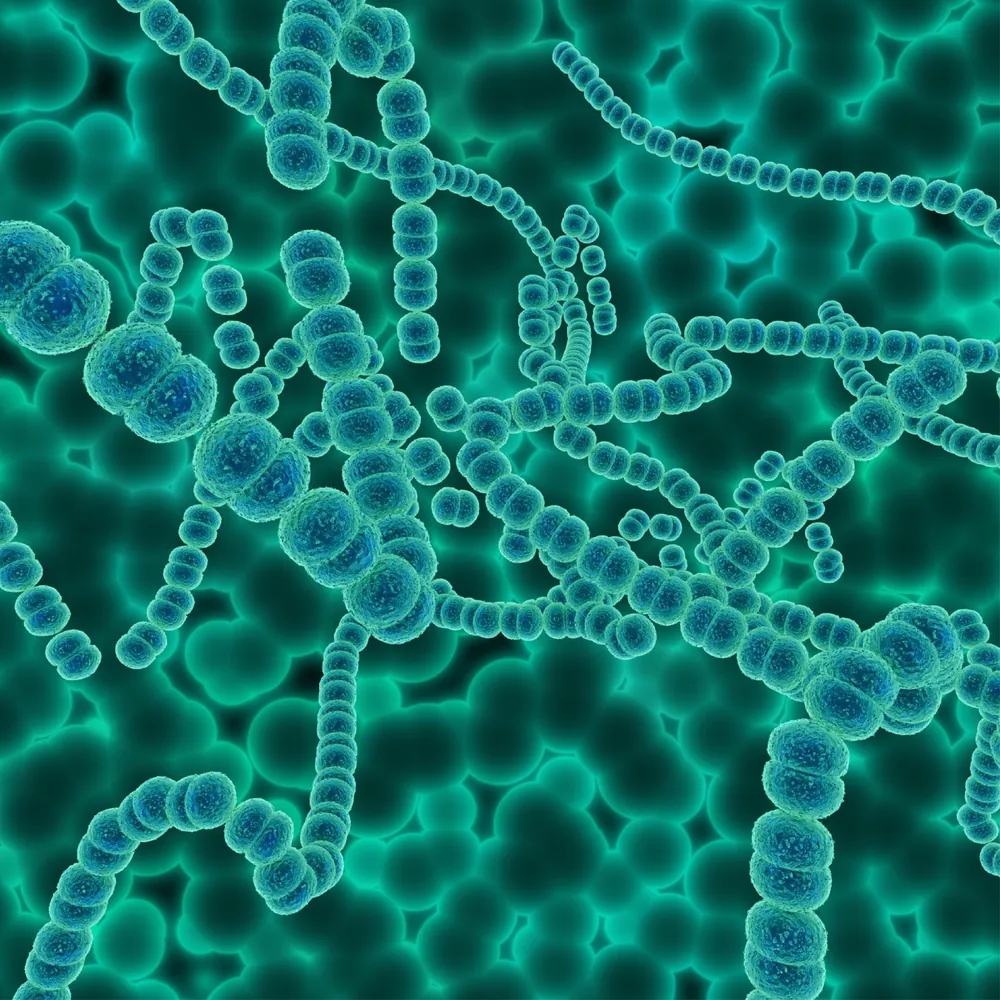 RB Panel C - 8 Bacteria — at-home lab test in Dubai