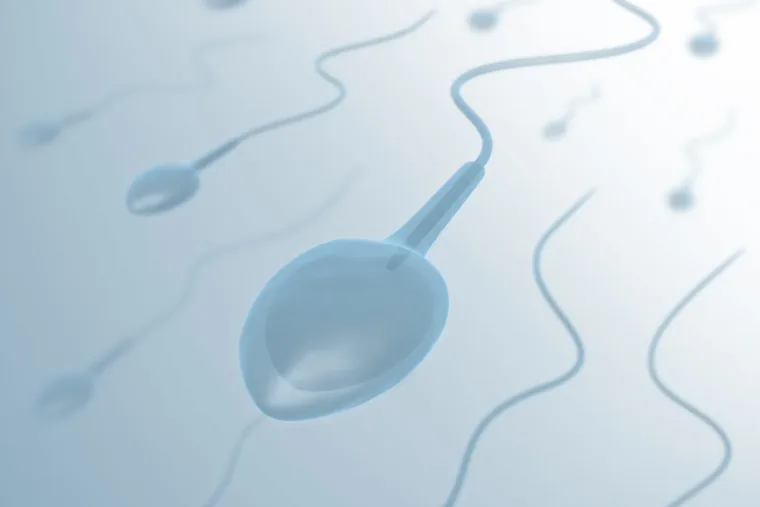 Magnified illustration of sperm cells