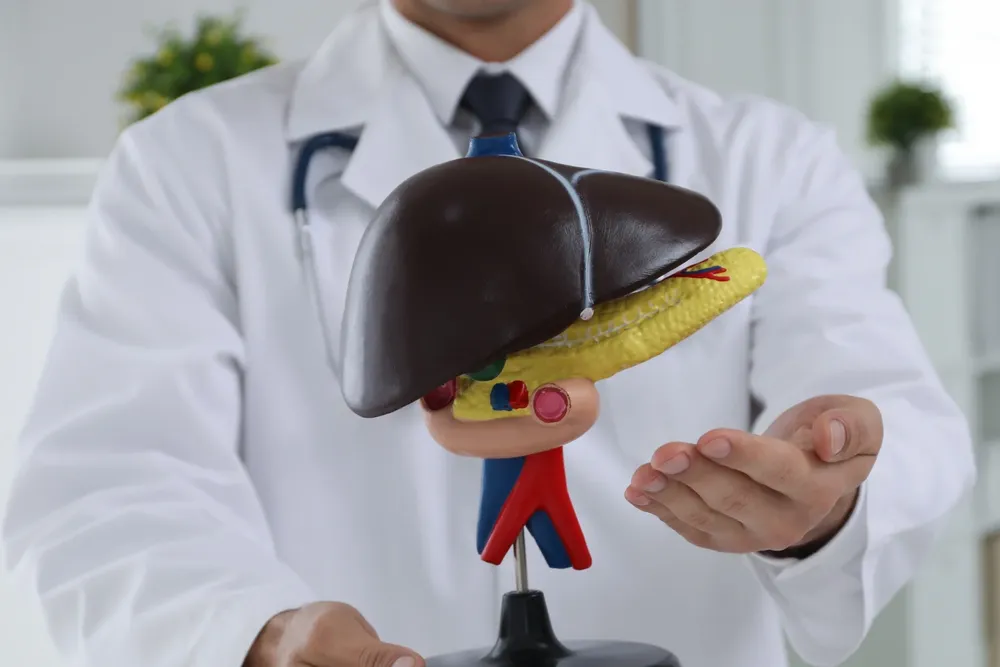 A DHA-licensed doctor holding an anatomical liver model, representing confidential hepatitis B and C testing at home in Dubai with Vesta Care
