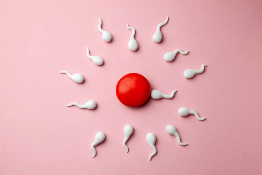 Illustration of sperm surrounding an egg during conception