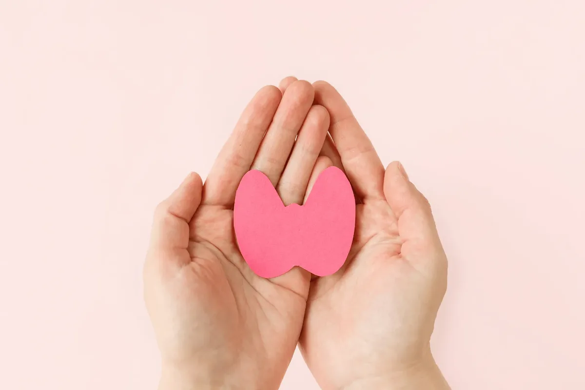 Cupped hands holding a butterfly-shaped model of the thyroid gland, for a thyroid test at home in Dubai