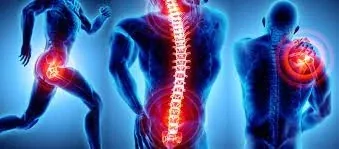 Illustration highlighting pain in the spine, shoulder and hip