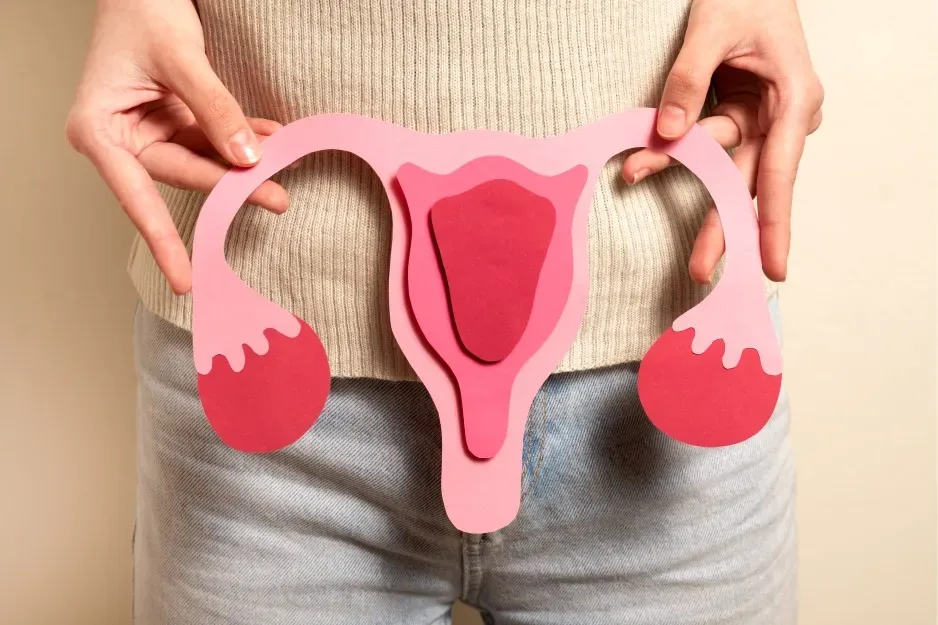 Woman holding a uterus illustration over her lower abdomen